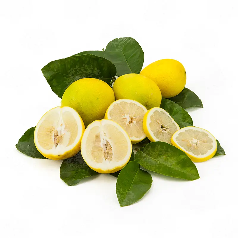 Лимон Борнео / Lemon Borneo — цитрусовое растение, детальное фото
