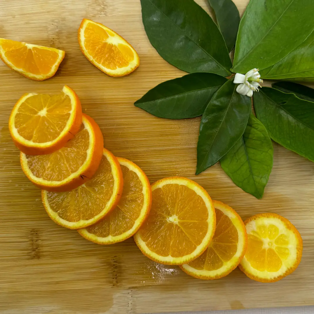 Апельсин Фрагола / Orange Fragola — цитрусовое растение, детальное фото
