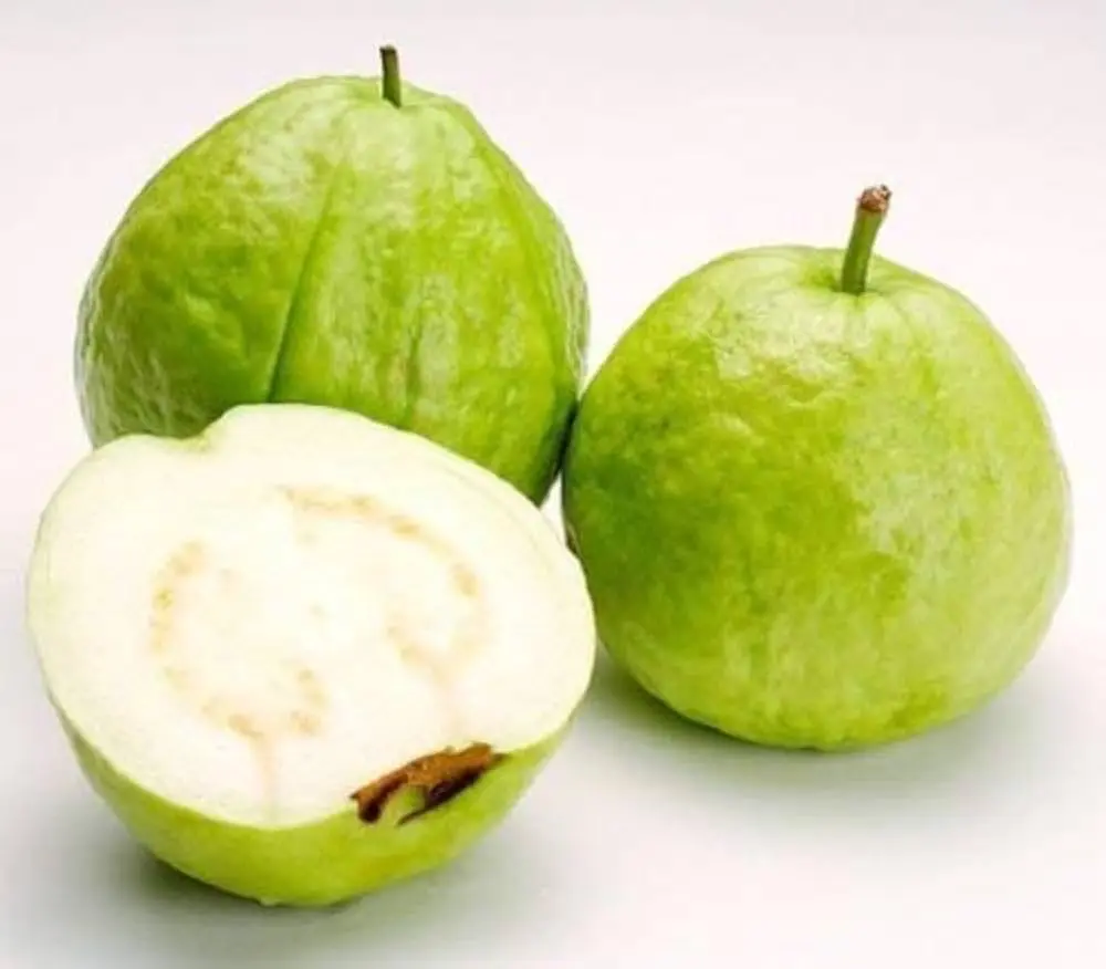 Гуава Вайт Суприм / Psidium White Supreme